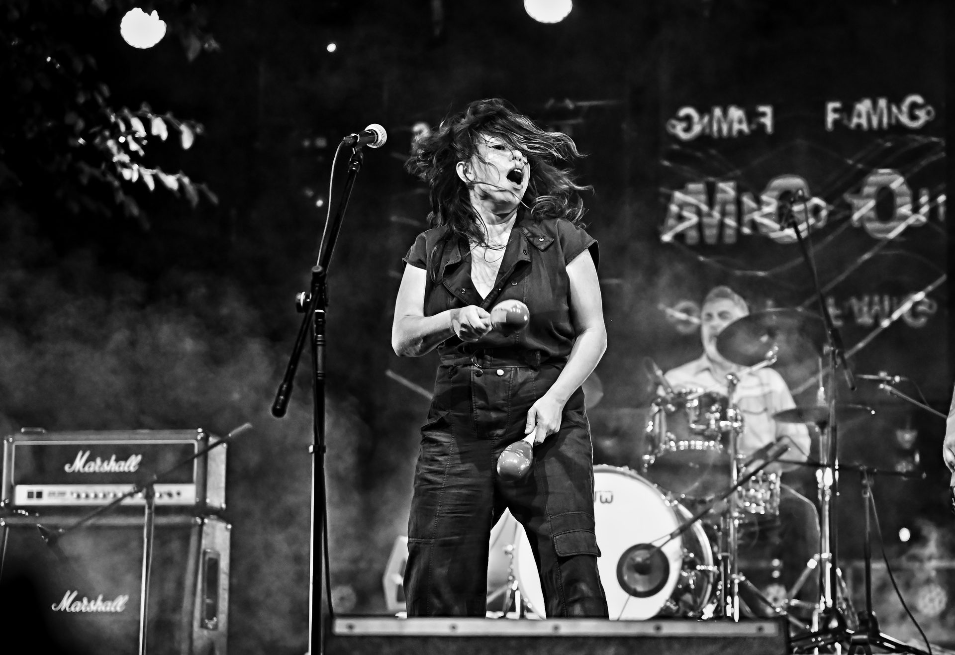 Hogazarock 11